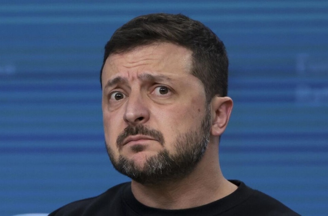    Медведев сравнил Зеленского с крысой и призвал к «срочной дератизации»