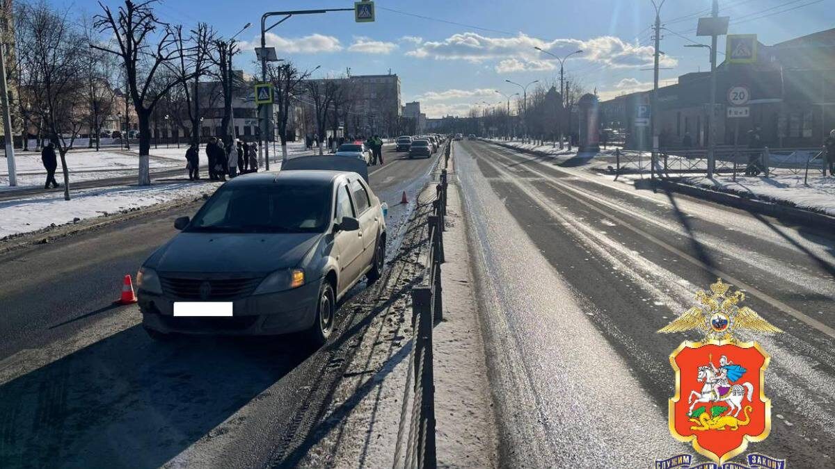    Фото: Пресс-служба ГУ МВД России по Московской области