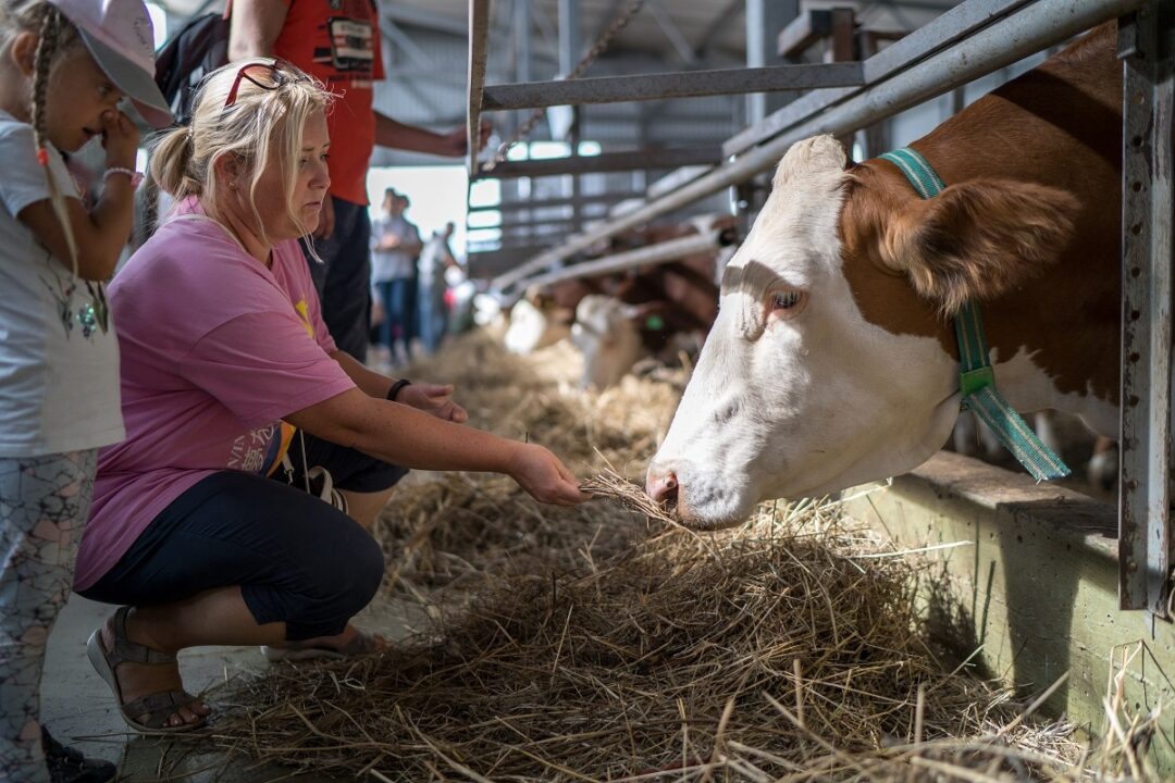Фото: Александр Плонский / «Агроэксперт»