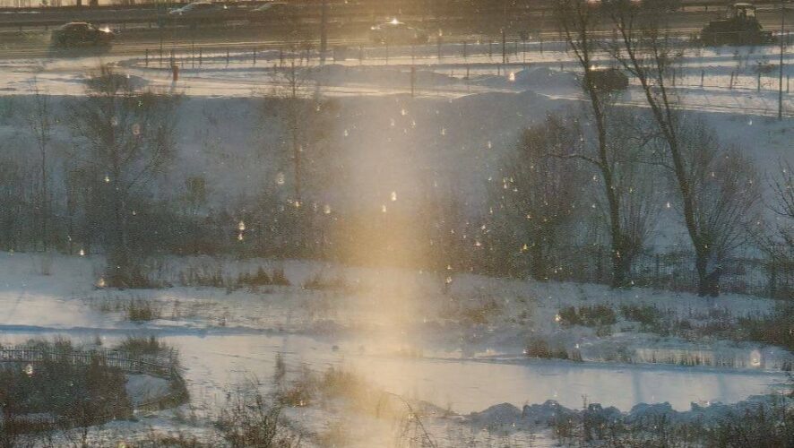    Фото: соцсети