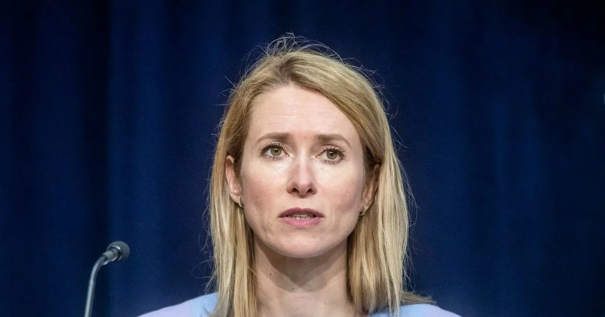    Каллас назвала Россию победителем после переговоров с США