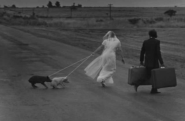  Фотограф Педро Луис Раота