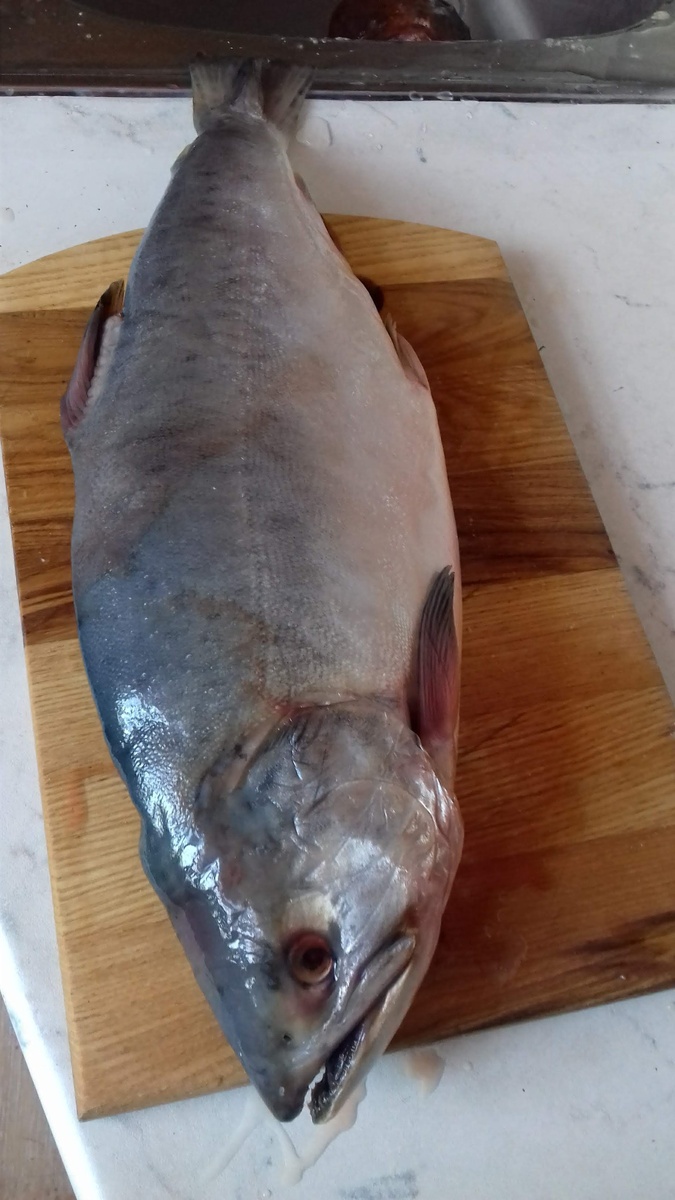    Это мальчик