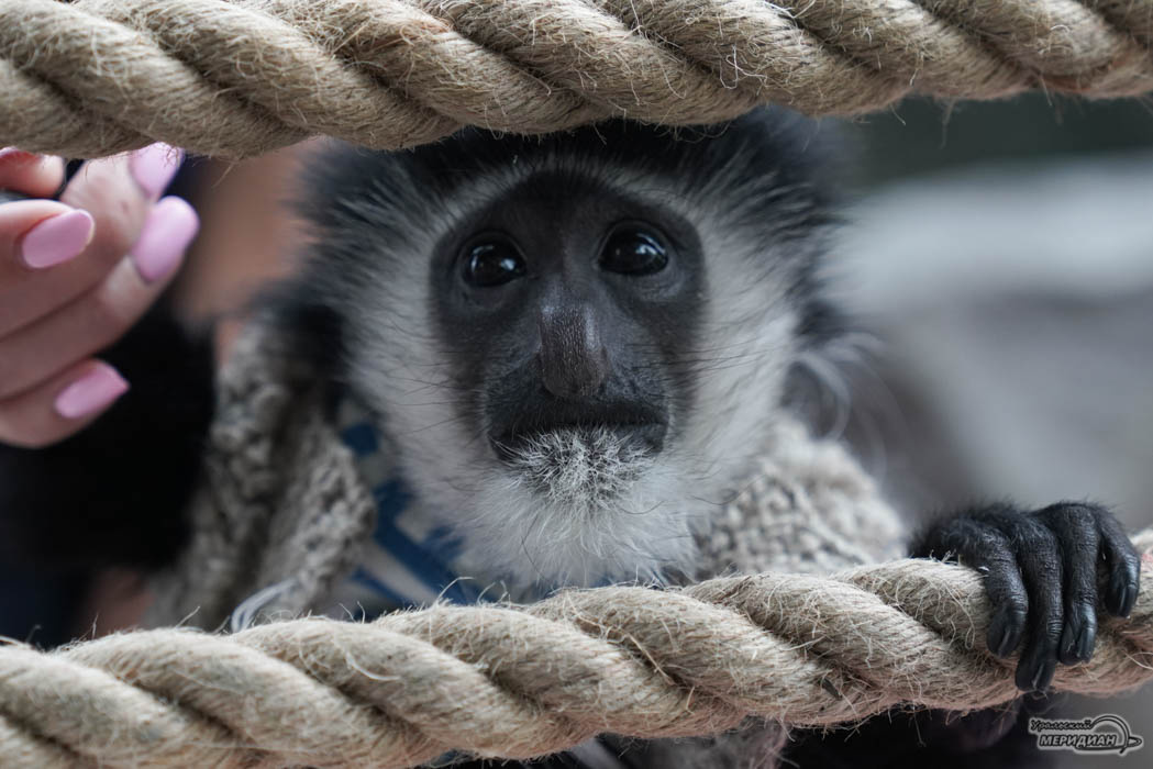    Фото: Лидия Аникина © ИА «Уральский меридиан»