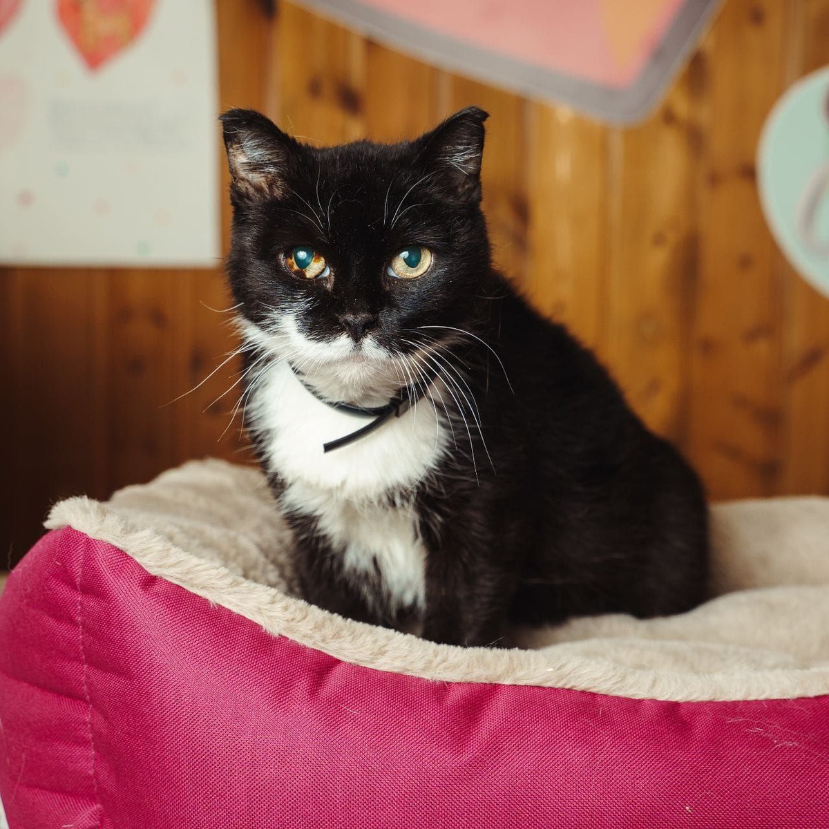 Хрупкая, но невероятно сильная Нона!