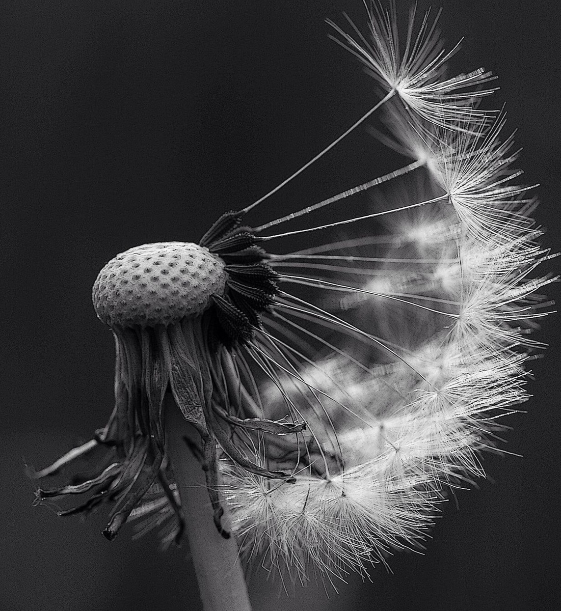 Картинка из Интернета