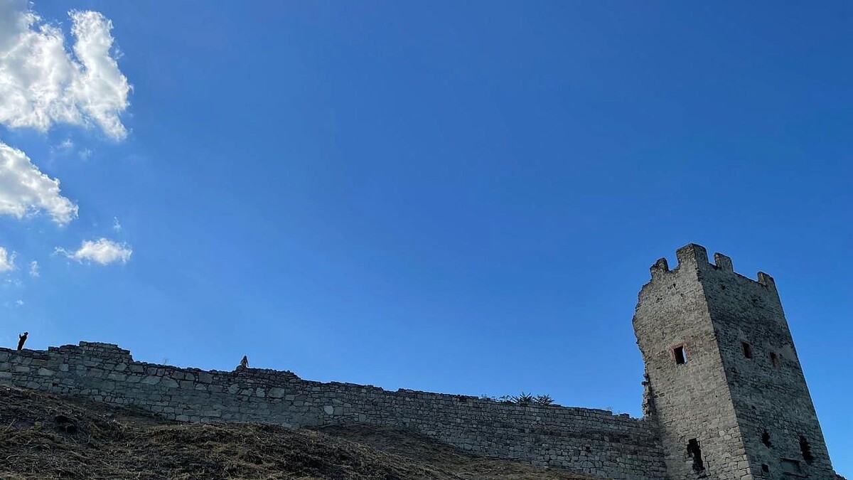    фото: телеканал «Краснодар»