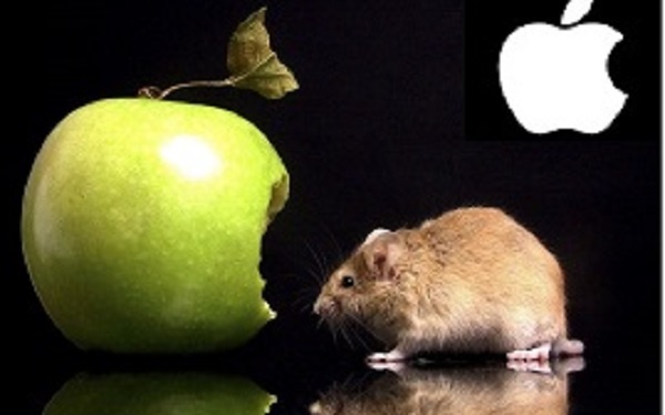 Весь смысл существования. Фото из открытых источников