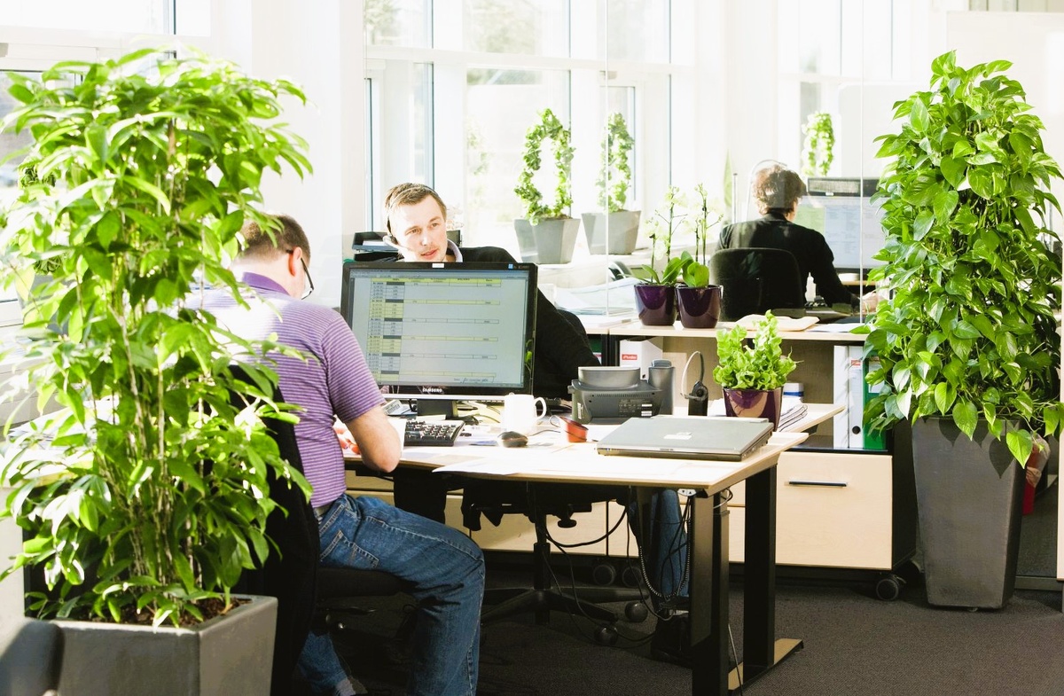 из свободных источников