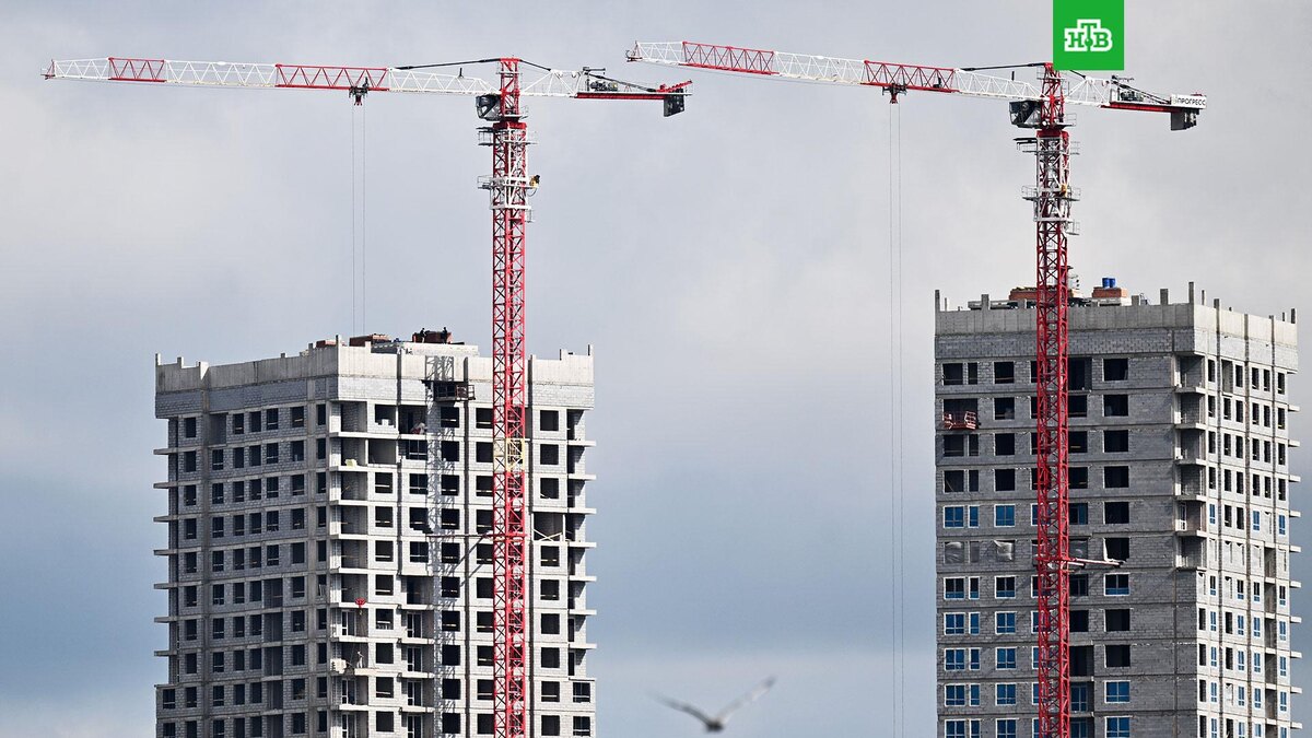    Фото: РИА Новости © 2025, Пелагия Тихонова