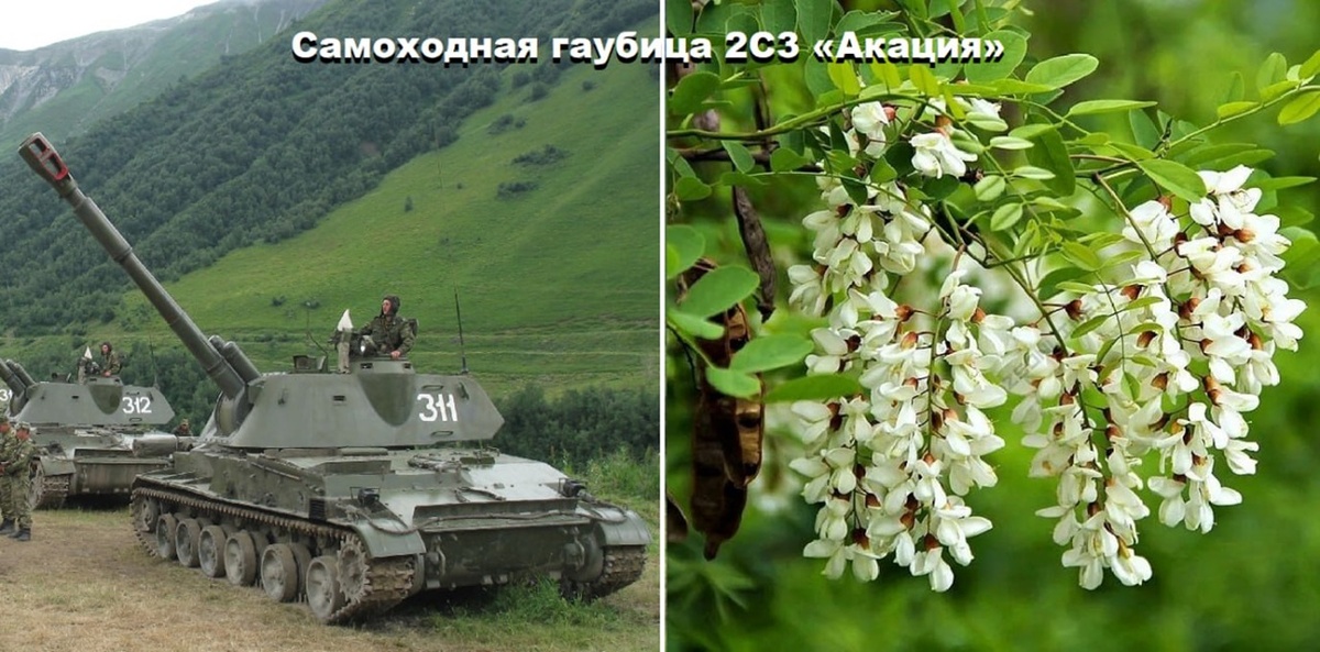 На фотографии: самоходная гаубица 2С3 «Акация» и цветы акации. Список военной техники, названной в честь цветов (по алфавиту). «Цветы армии России».