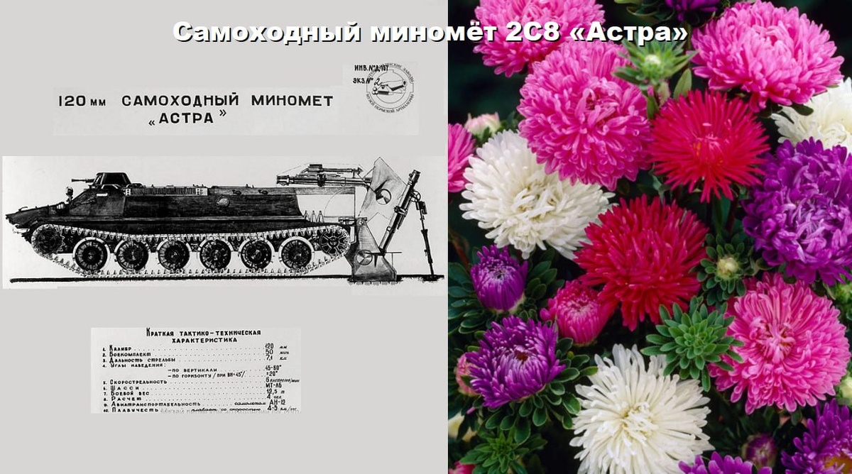 На фотографии: самоходный миномёт 2С8 «Астра» (для сухопутных войск) и цветы астры. Список военной техники, названной в честь цветов (по алфавиту)