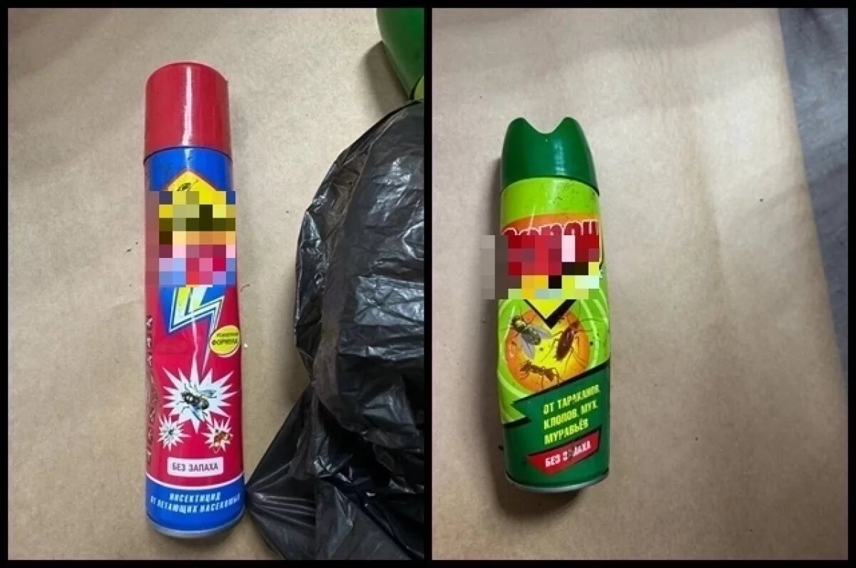    Баллончики из-под дихлофоса,который распылили в доме Виноградовых.