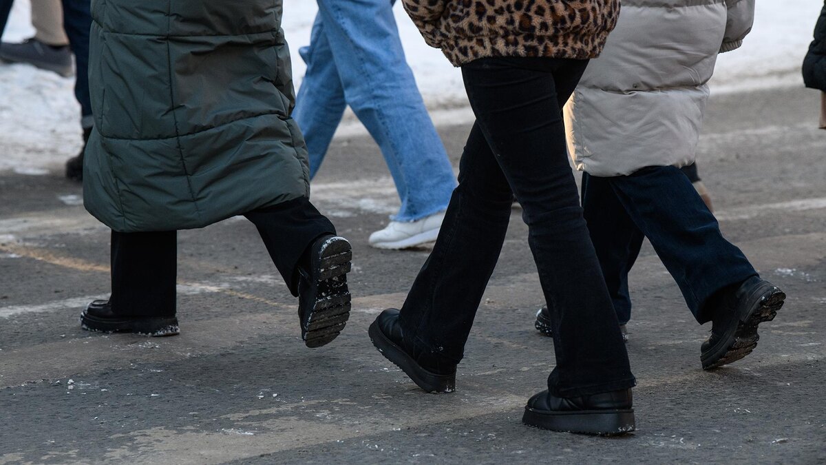    Фото: Ilya Moskovets/globallookpress.com