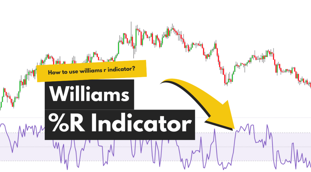 Как правильно настроить индикатор Williams %R: пошаговое руководство
