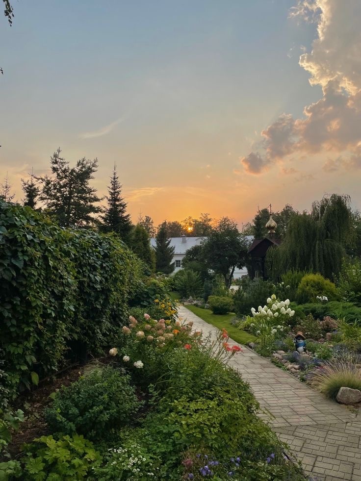 Огромное разнообразие растений Вы можете приобрести в питомниках своего города. 