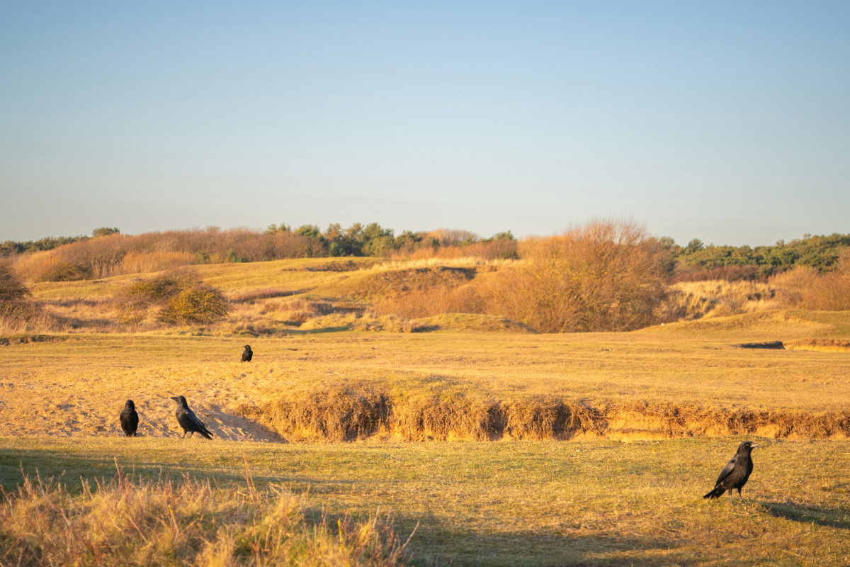 Картинка с бесплатного фотостока https://unsplash.com, автор Gavin Allanwood