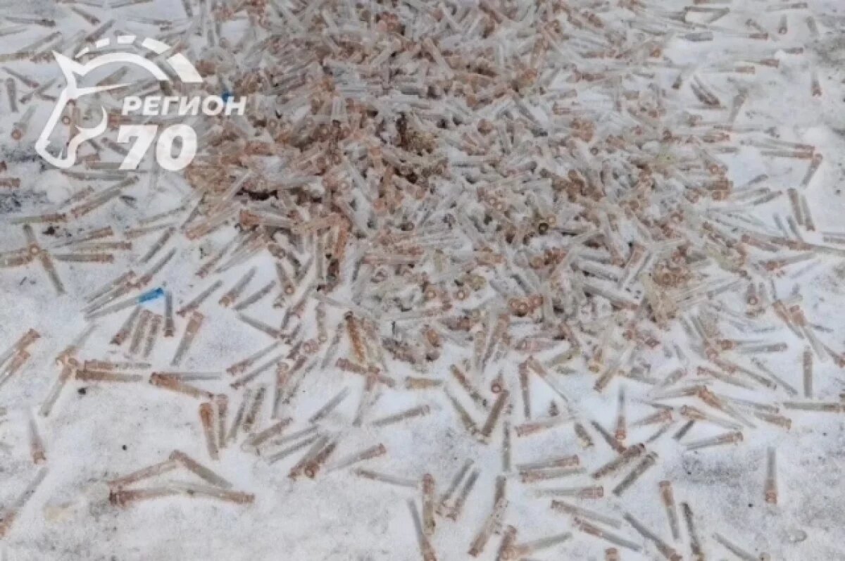    Власти Томска прокомментировали случай с разбросанными шприцами на Нефтяной