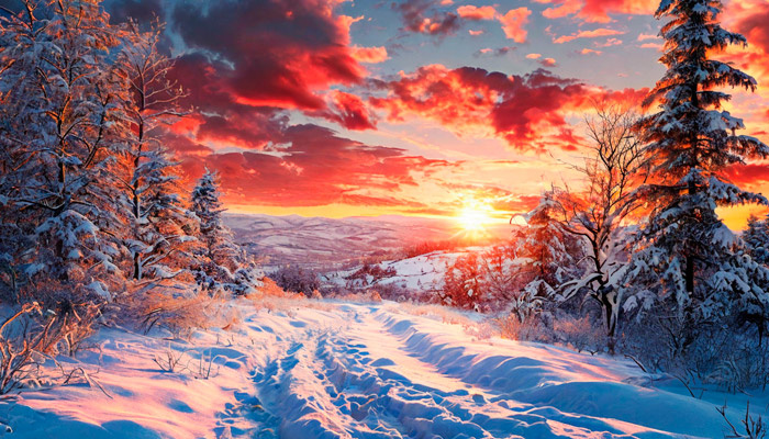 Алый закат — к холодному лету и сильным ветрам. Фото: shedevrum.ai