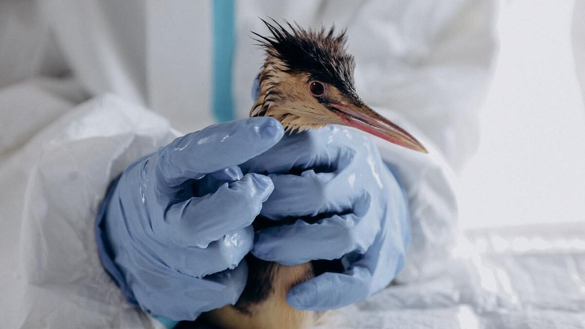    Фото: телеканал «Краснодар»