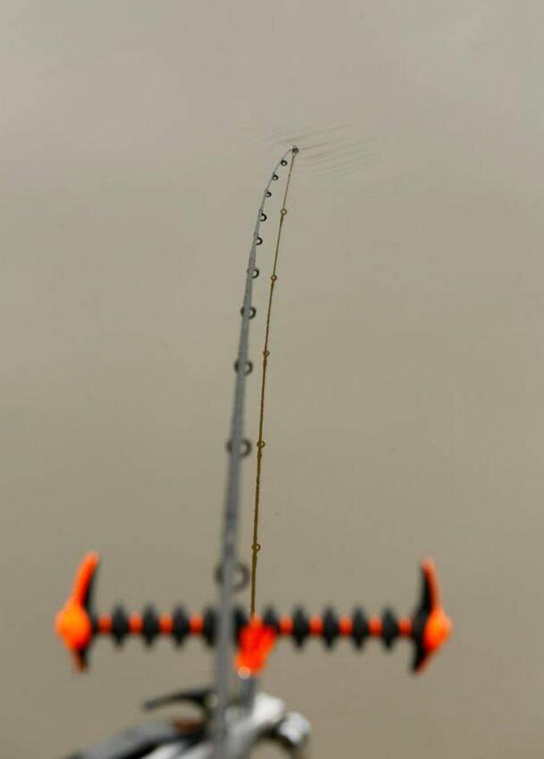 Как выбрать правильный квивертип? Советует Стив Рингер