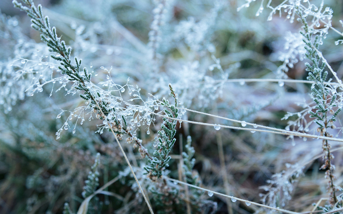 Картинка с бесплатного фотостока https://unsplash.com, автор Nikita Pishchugin