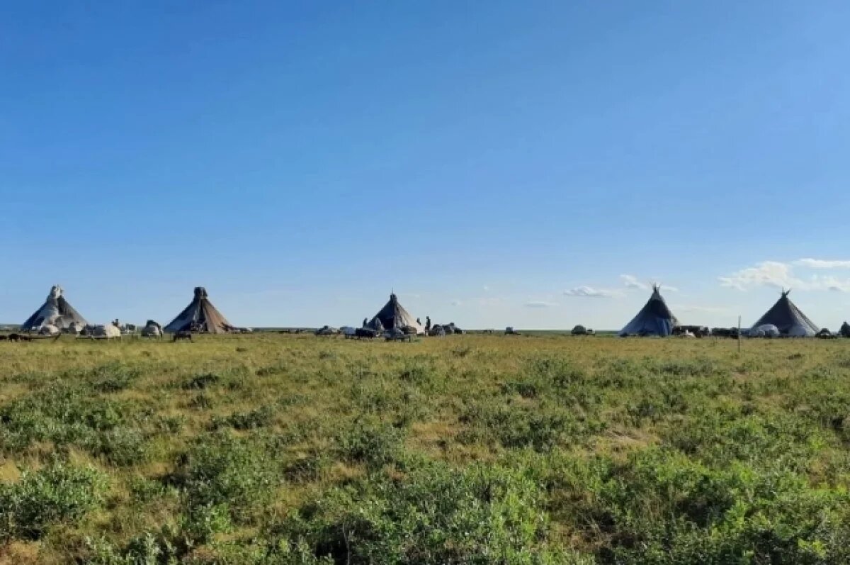    Президентский грант поможет завершить фильм о жизни современных ненцев