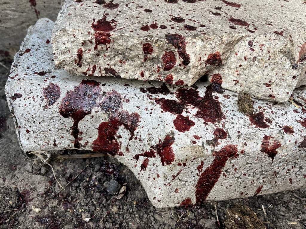    Фото из архива "КурскСити"