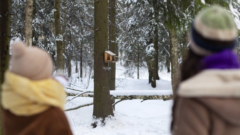 Источник: Freepik