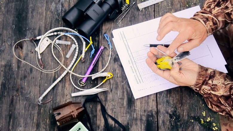 Источник: Газета.Ру