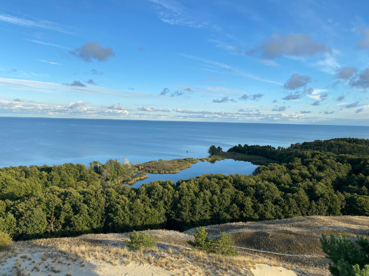 Само озеро Лебедь, окруженное ольховым лесом