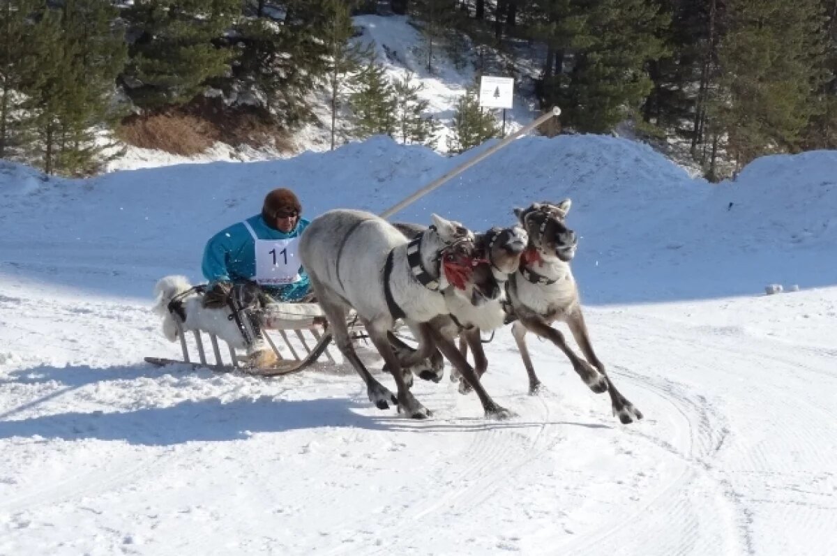    День оленевода.