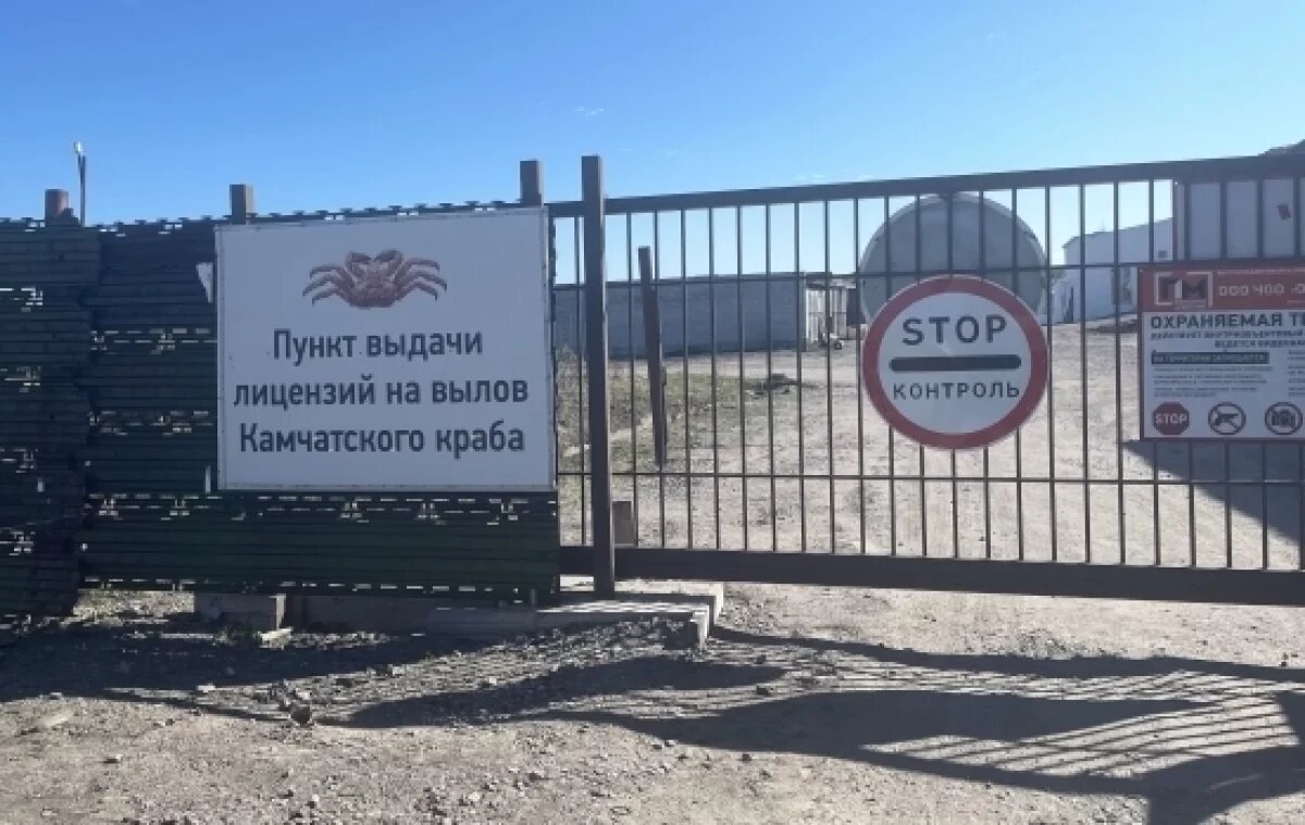    В Мурманской области на восьми участках разрешат ловить краба