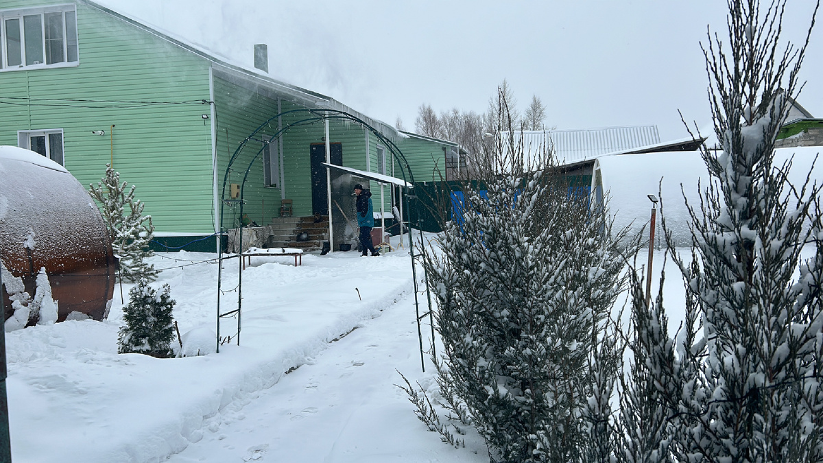 Это наш двор