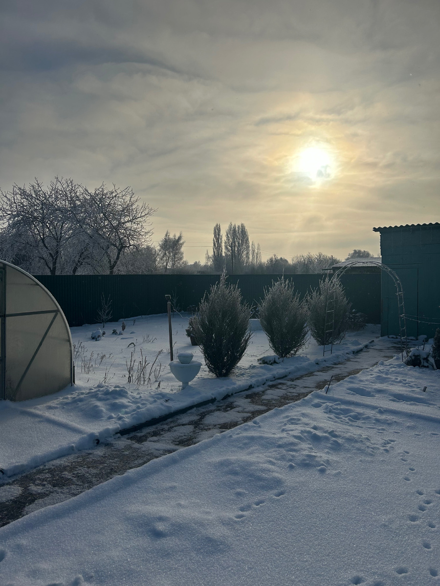 Это наш двор