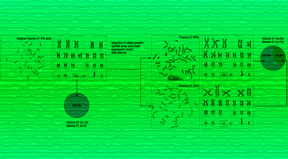   N + 1; Ryotaro Hashizume et al. / PNAS Nexus, 2025