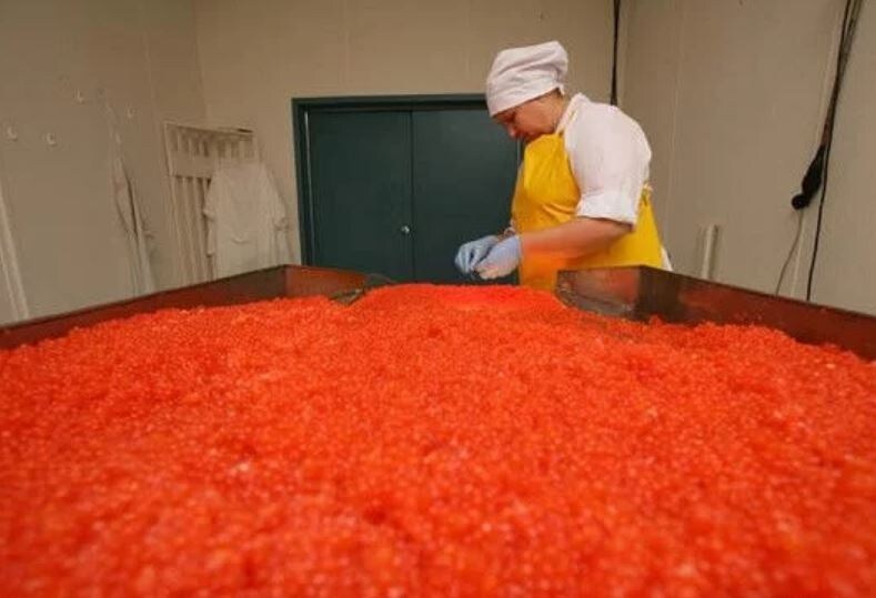 Фото с сайта Яндекса картинки