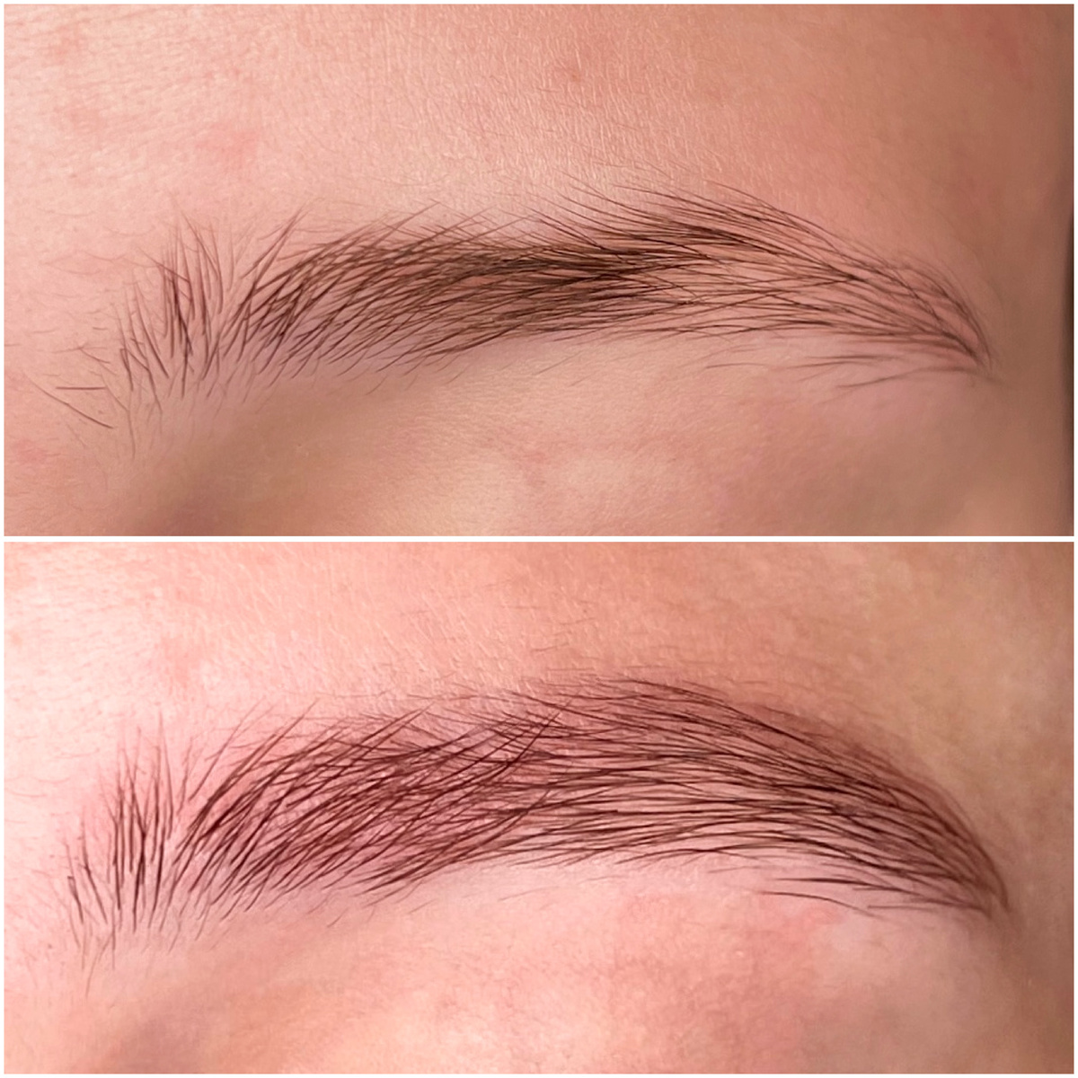 Ирина Кучерова Бровист - реноволог