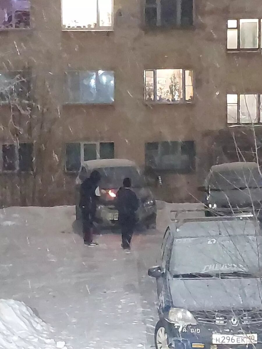     Источник: Жесть Карелия / vk