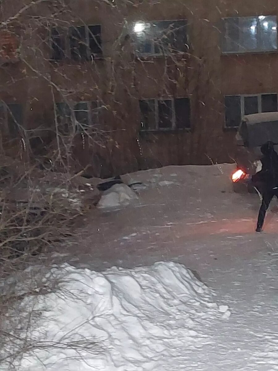     Источник: Жесть Карелия / vk