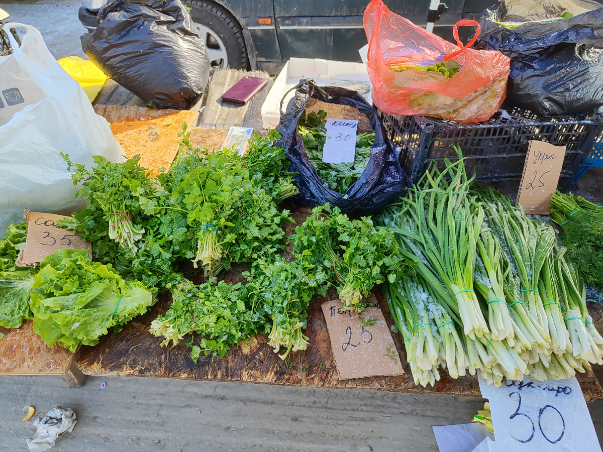 зелень в снегу)