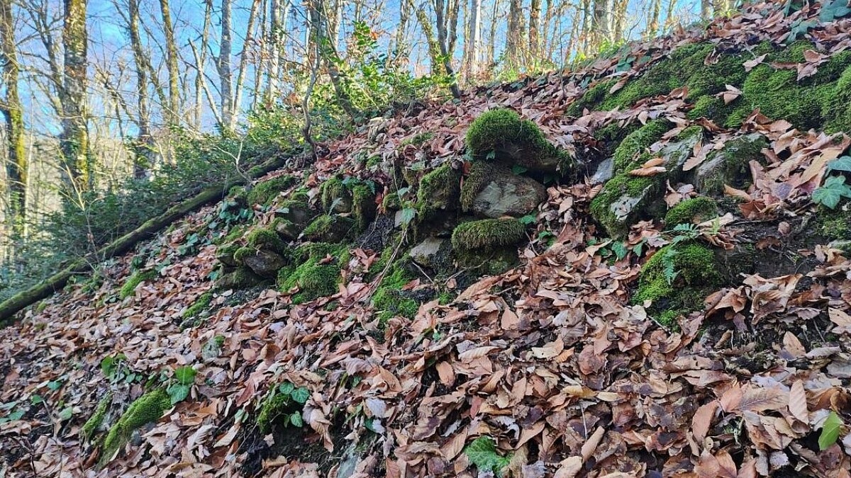    Фото: пресс-служба Сочинского нацпарка