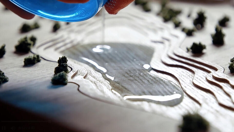 Фото: © Кадр из программы "Купи-продай", РЕН ТВ