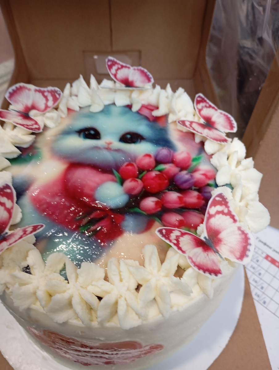 Торт с котиком! 