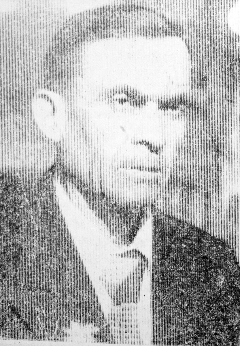 Николай Домарев