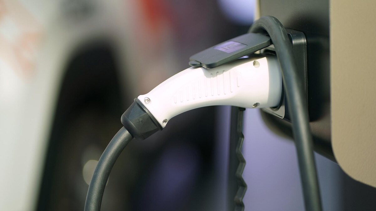 Фото: ИЗВЕСТИЯ/Павел Волков