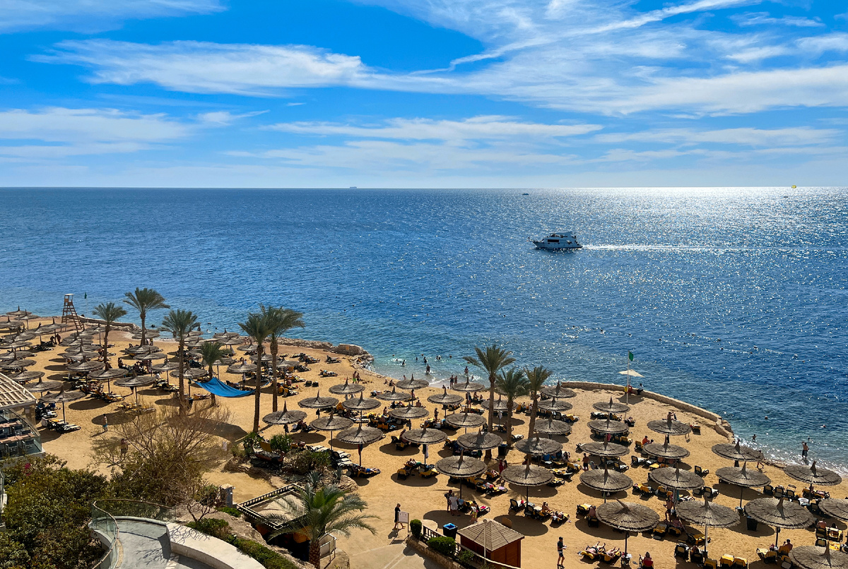 Реклама. ООО «Тревел Технологии». ИНН 7731340252