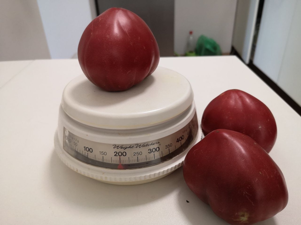 Гном "Пурпурное сердце"