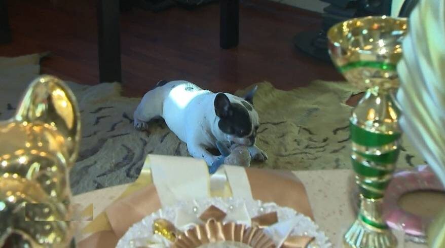    Источник фото: