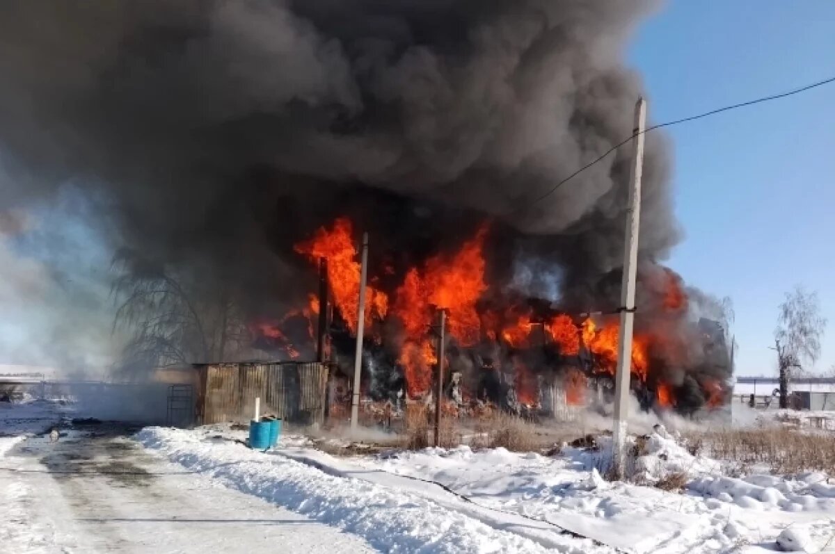    Под Сызранью в поселке Кошелевка произошёл большой пожар